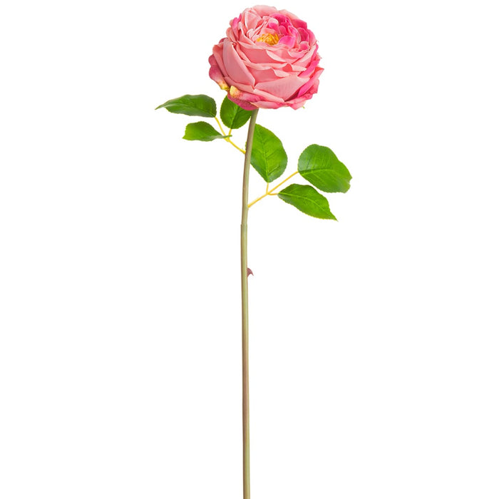 20" Silk Cabbage Rose Bud Flower Stem -2 Tone Rose (pack of 12) - FSR839-RO/TT