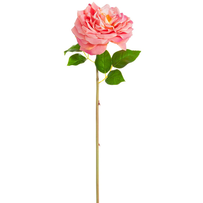 20" Silk Open Cabbage Rose Flower Stem -2 Tone Rose (pack of 12) - FSR840-RO/TT