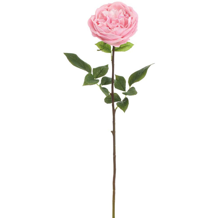 28" Real Touch Cabbage Rose Silk Flower Stem -Pink (Pack of 6) - FSR860-PK