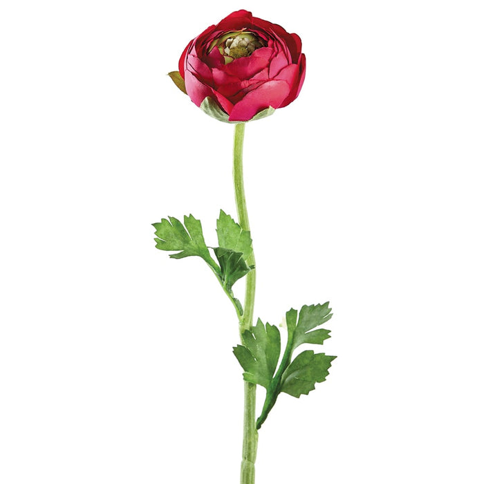 20" Ranunculus Faux Flower Stem -Beauty (pack of 12) - FSR901-BT