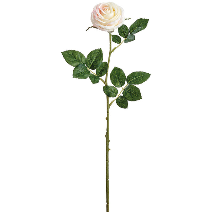 20.5" Small Rose Silk Flower Stem -Cream/Blush (Pack of 12) - FSR902-CR/BS