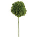24" PE Soft-Touch Skimmia Artificial Flower Stem -Green (Pack of 12) - FSS013-GR