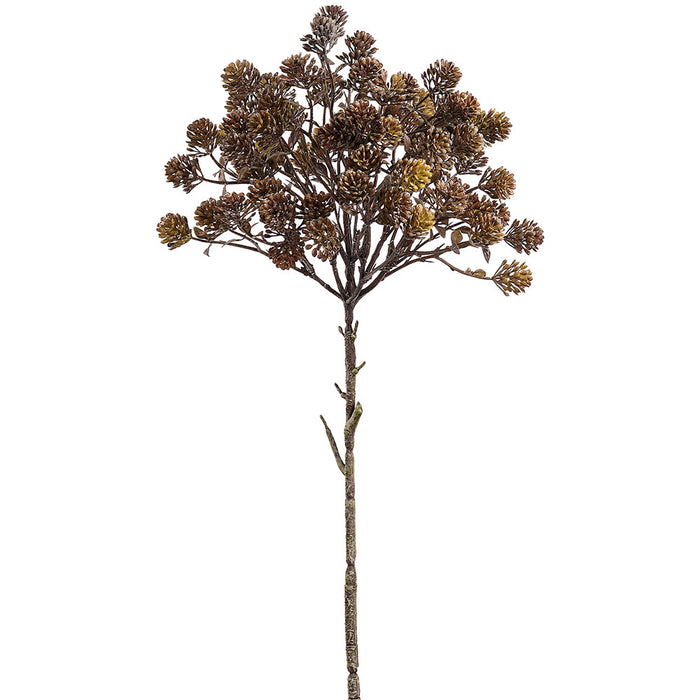 20.5" Sedum Artificial Flower Stem -Brown (Pack of 12) - FSS014-BR