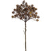 20.5" Sedum Artificial Flower Stem -Brown (Pack of 12) - FSS014-BR