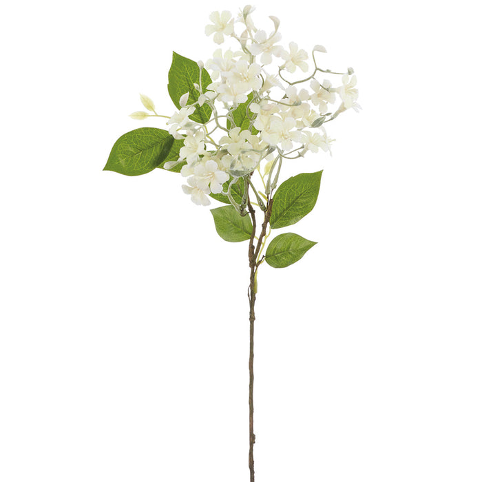 21" Stephanotis Silk Flower Stem -White (Pack of 12) - FSS022-WH