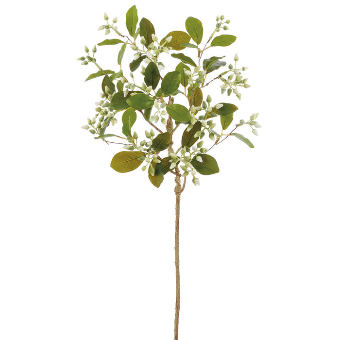 26" Sed Artificial Flower Stem -Cream/Green (Pack of 12) - FSS023-CR/GR