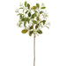 26" Sed Artificial Flower Stem -Cream/Green (Pack of 12) - FSS023-CR/GR