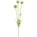 24" Artificial Scabiosa Flower Stem -Light Green (pack of 12) - FSS024-GR/LT