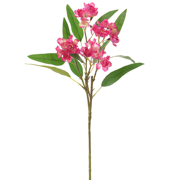 24" Wild Stock Silk Flower Stem -Beauty (pack of 12) - FSS030-BT