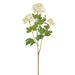 31" Snowball Silk Flower Spray -Green/Blush (Pack of 12) - FSS040-GR/BS