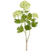 31" Snowball Silk Flower Spray -Green (Pack of 12) - FSS040-GR