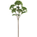 16.5" Sedum Artificial Flower Stem -Green (Pack of 12) - FSS053-GR