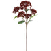 16.5" Sedum Artificial Flower Stem -Red (Pack of 12) - FSS053-RE