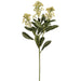 26" Skimmia Artificial Flower Stem -Green (Pack of 12) - FSS063-GR