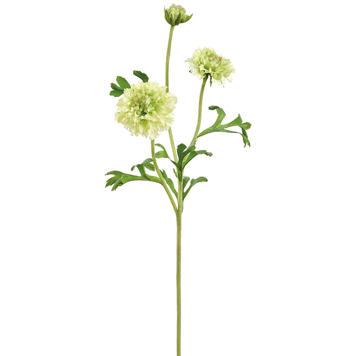 21" Scabiosa Silk Flower Stem -Green (Pack of 12) - FSS095-GR