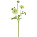 21" Scabiosa Silk Flower Stem -Green (Pack of 12) - FSS095-GR