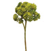 12" Sedum Artificial Flower Stem -Green (pack of 24) - FSS103-GR
