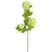 24" Snowball Silk Flower Stem -Light Green (Pack of 12) - FSS119-GR/LT