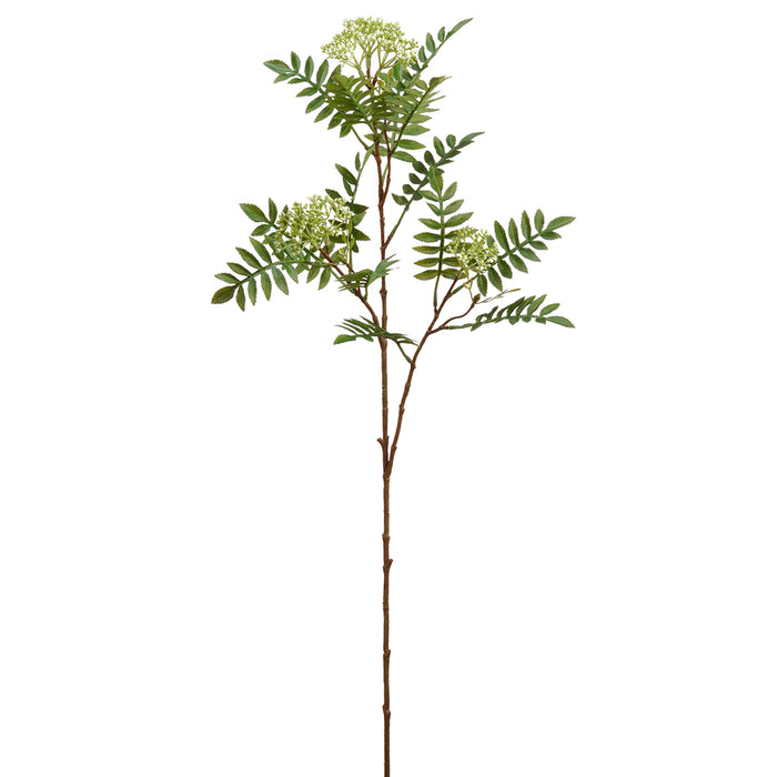 32" Artificial Sorbus Flower Stem -Cream/Green (pack of 12) - FSS207-CR/GR