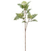 32" Artificial Sorbus Flower Stem -Cream/Green (pack of 12) - FSS207-CR/GR