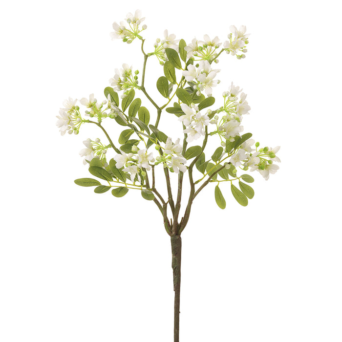 22" Stephanotis Artificial Flower Stem -White (pack of 12) - FSS212-WH
