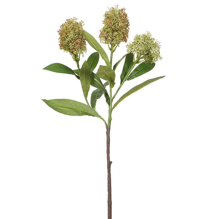 23" Artificial Skimmia Flower Stem -Green (pack of 12) - FSS228-GR