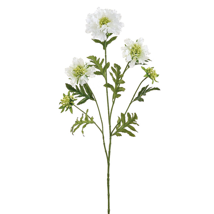 30" Scabiosa Silk Flower Stem -Cream (Pack of 12) - FSS229-CR