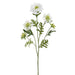 30" Scabiosa Silk Flower Stem -Cream (Pack of 12) - FSS229-CR