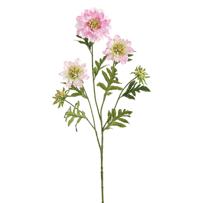 30" Scabiosa Silk Flower Stem -Pink (Pack of 12) - FSS229-PK