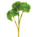 8" Artificial Sedum Flower Spray Pick -Green (pack of 36) - FSS230-GR