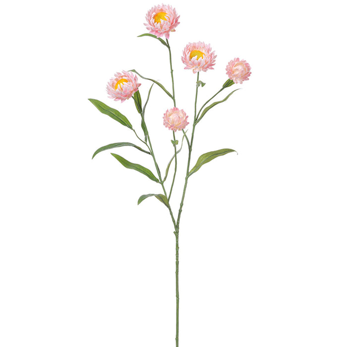 27" Strawflower Silk Flower Stem -Light Pink (pack of 12) - FSS255-PK/LT