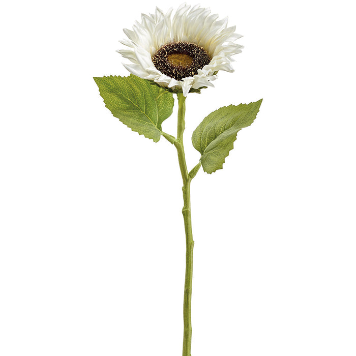 18" Sunflower Silk Flower Stem -Cream (Pack of 12) - FSS280-CR