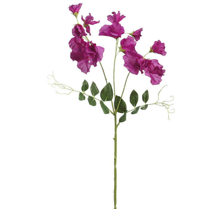 26.75" Silk Sweet Pea Flower Stem -Boysenberry (pack of 12) - FSS296-BB