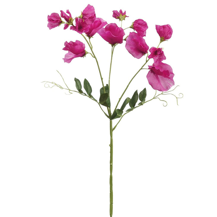 26.75" Silk Sweet Pea Flower Stem -Beauty (pack of 12) - FSS296-BT