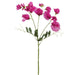 26.75" Silk Sweet Pea Flower Stem -Beauty (pack of 12) - FSS296-BT