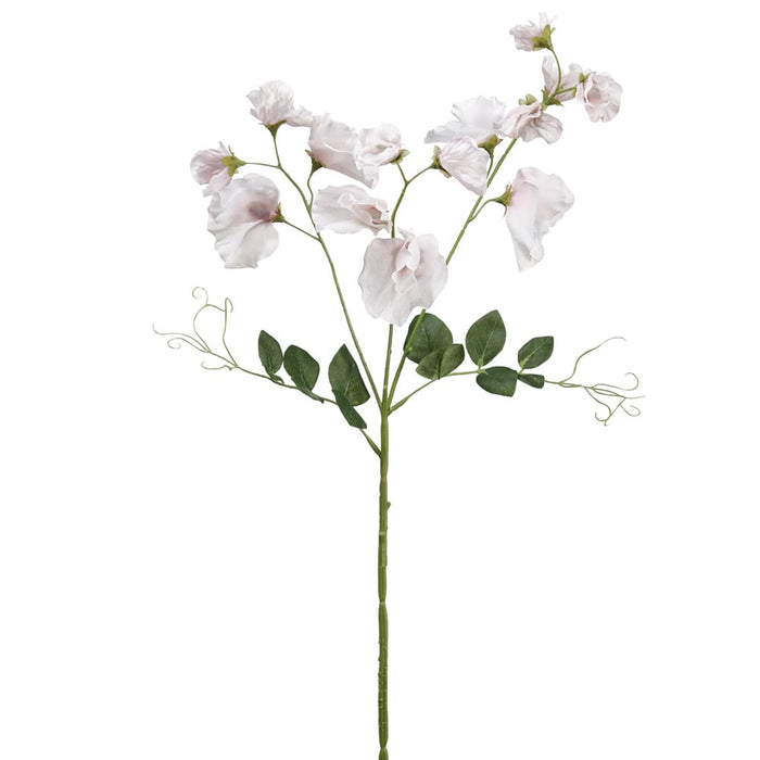 26.75" Silk Sweet Pea Flower Stem -Cream (pack of 12) - FSS296-CR