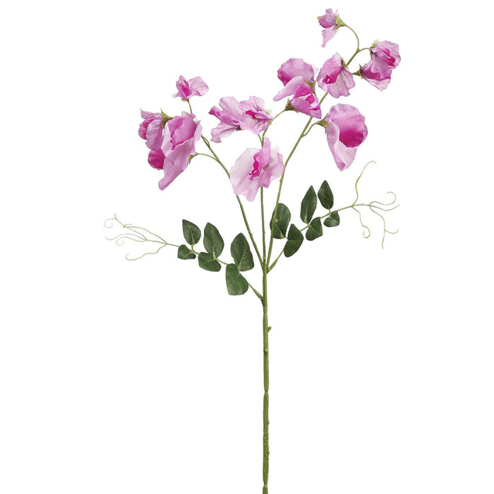 26.75" Silk Sweet Pea Flower Stem -Fuchsia (pack of 12) - FSS296-FU