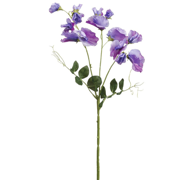 26.75" Silk Sweet Pea Flower Stem -Purple (pack of 12) - FSS296-PU
