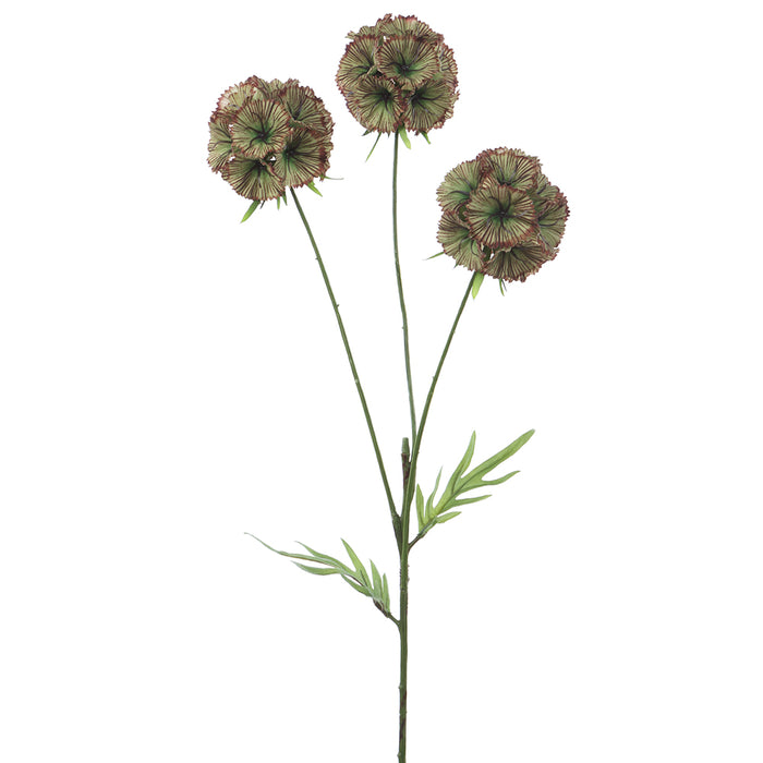 32" Silk Scabiosa Flower Stem -Green/Burgundy (pack of 12) - FSS322-GR/BU
