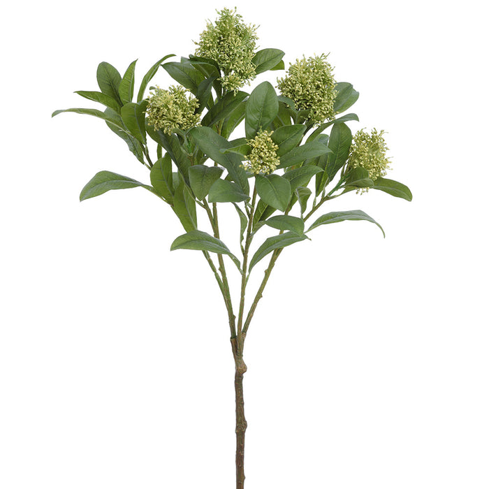 24" Skimmia Artificial Flower Stem -Green (Pack of 12) - FSS326-GR