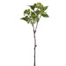 22.5" Artificial Sedum Flower Stem -Green (pack of 12) - FSS375-GR
