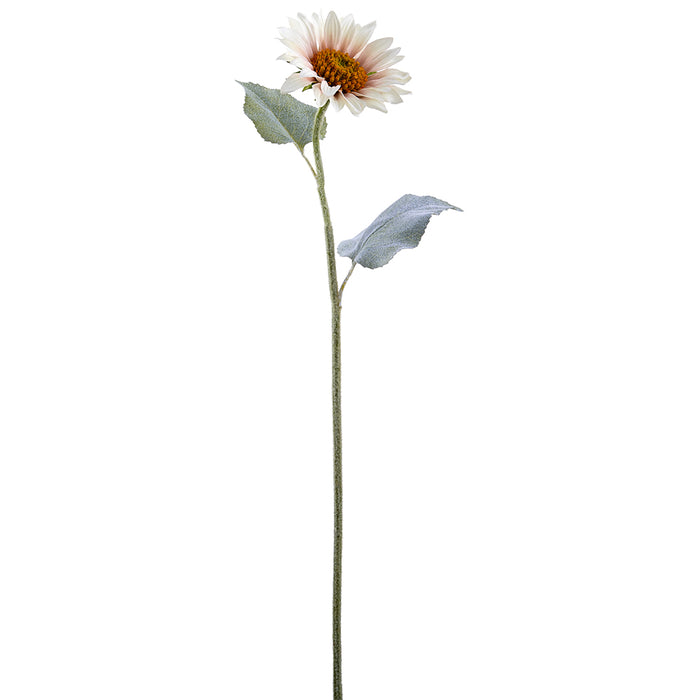 35.25" Silk Sunflower Flower Stem -Cream (pack of 12) - FSS378-CR