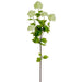 38" Silk Snowball Flower Spray -Light Green (pack of 12) - FSS475-GR/LT