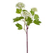 24" Snowball Faux Flower Stem -White (Pack of 12) - FSS558-WH