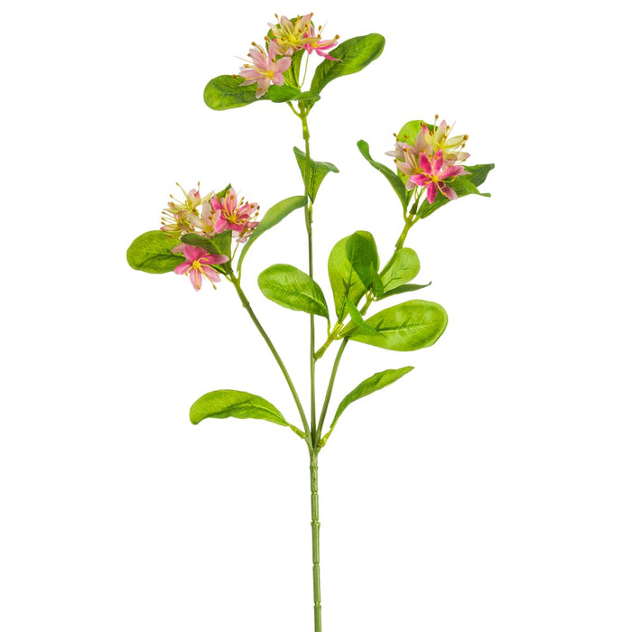 19" Silk Pentas Star Flower Stem -Pink (pack of 12) - FSS603-PK