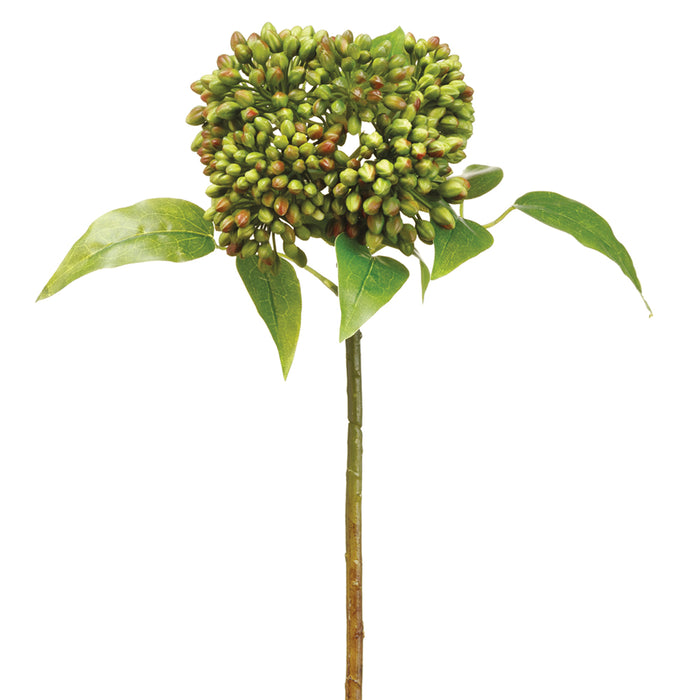 17" Sedum Artificial Stem -Green/Burgundy (Pack of 12) - FSS641-GR/BU
