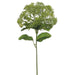 12.5" PE Skimmia Artificial Flower Stem -Green/Gray (pack of 24) - FSS681-GR/GY