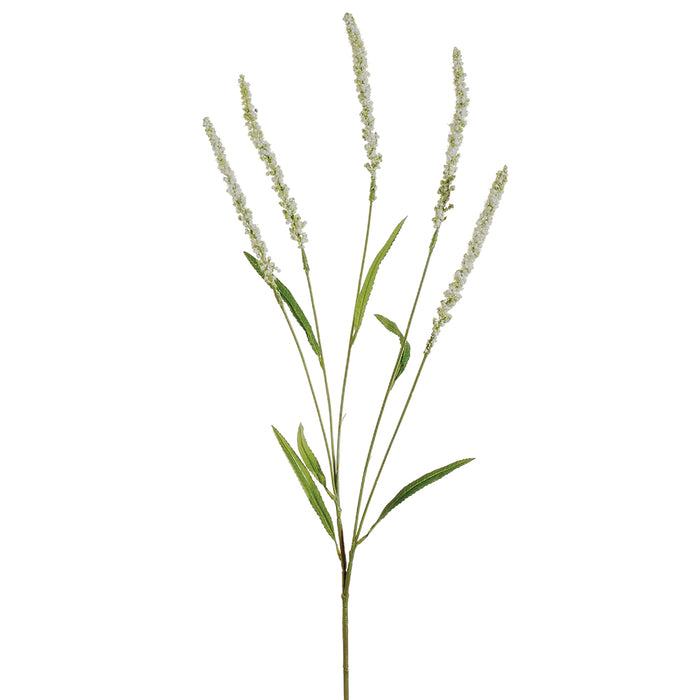37" Silk Forest Setaria Flower Spray -Cream/Green (pack of 12) - FSS686-CR/GR