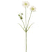 32" Silk Scabiosa Flower Stem -White (pack of 12) - FSS730-WH