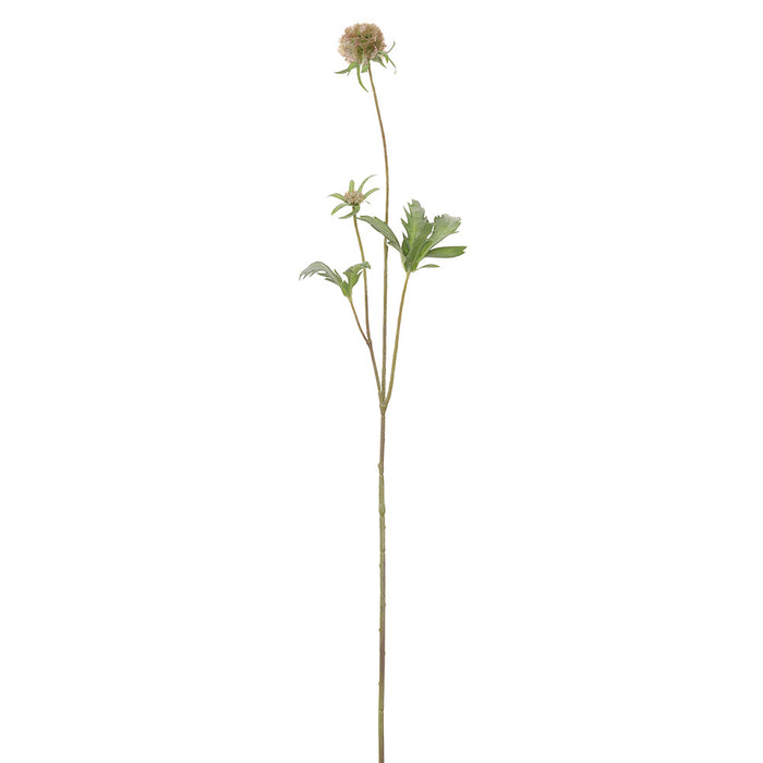 27" Scabiosa Silk Flower Stem -Tan/Green (pack of 12) - FSS761-TN/GR